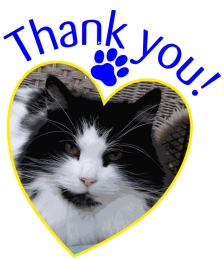 Thank you!